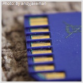 SD card